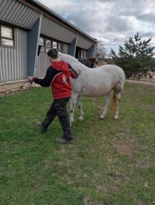 Messenger_creation_74D24D6D-8BA1-4F88-84DB-ECC167CA61A2.jpeg
