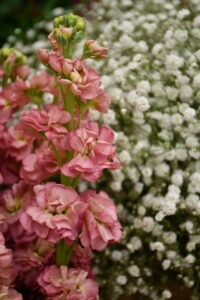 DSC_0404-scaled.jpg