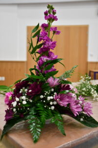 DSC_0455-scaled.jpg