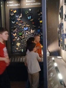 20250320_134210.jpg