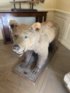 IMG_1684-scaled.jpeg